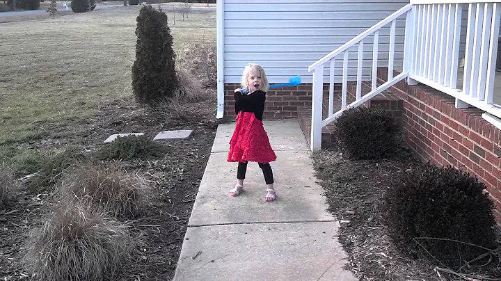 Elizabeth, the Ninja