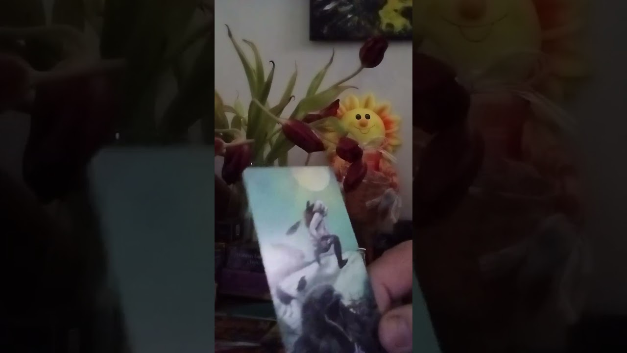 PROBLEME MARI SI CU STATUL ...POSIBIL INCHIS.🫣🤫🤔