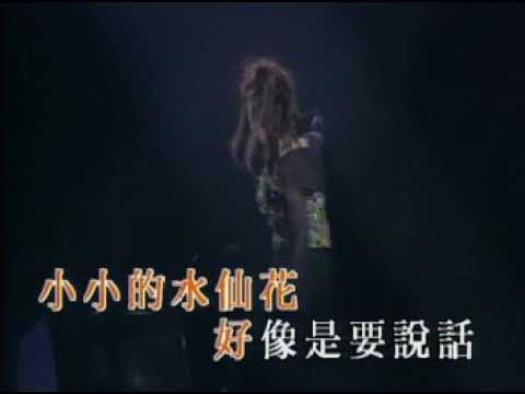 汪明荃演唱会16