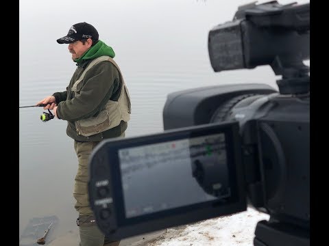 Video: JAMMA Salighet Från Salamander