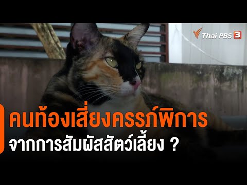 วีดีโอ: ใช้เวลานานเท่าใดในการจัดเก็บหมาไว้ในบ้าน?