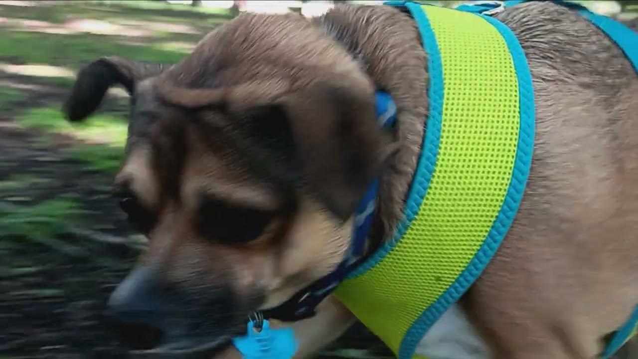 Rowdy Ruffin is letting  nature love him, awww😇😇