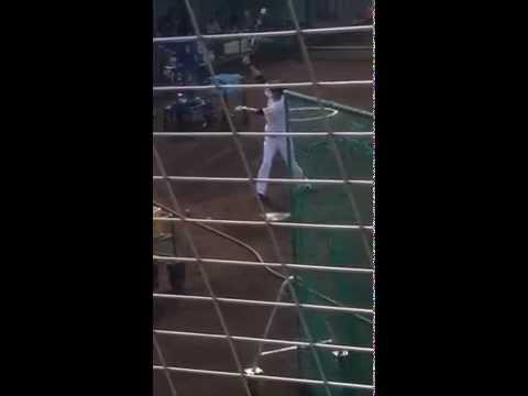 金子圭輔 ティーバッティング 左