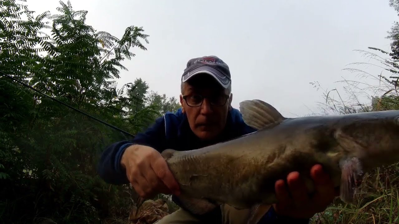 Ganci del pesce gatto #6- #8/0 gancio esca fiume grande gancio di