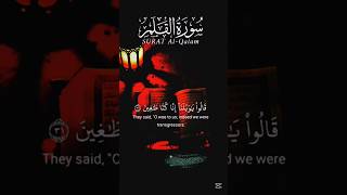 Beautiful quran tilawat.#shorts #qurantilawat #viralshort #quranshorts
