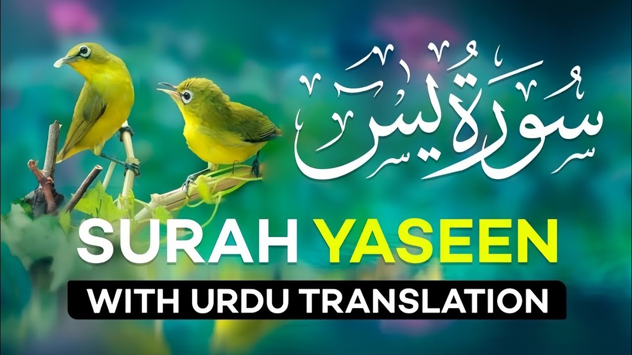 Surah Yasin | Surat Yaseen with Urdu Translation | Quran Tilawat Beautiful Voice | Hindi Tarjuma