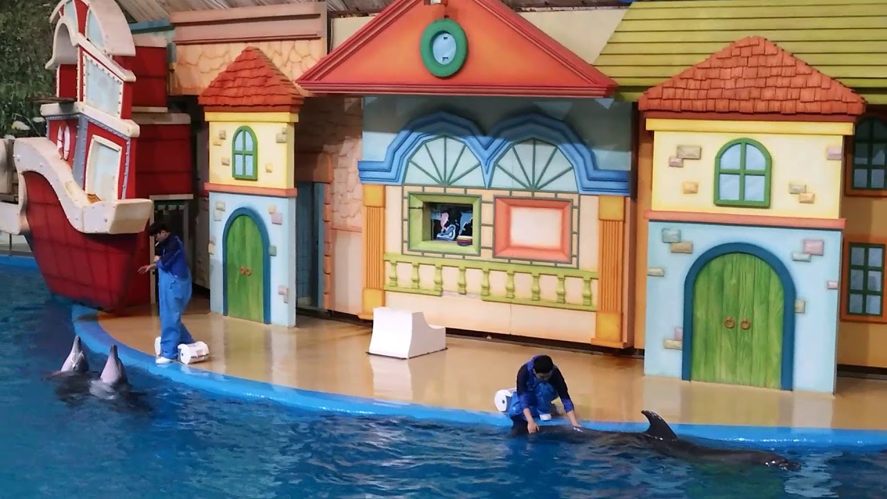 서울동물원 해양관 돌고래 생태 설명회 풀버전 영상