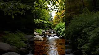 Jazz Relaxing water flowing music #sleepmusic #deepsleep #stressrelief #calmingmusic
