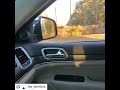 Mark Holmes spots trio of bears in South Walton - Video by Mark Holmes via Instagram