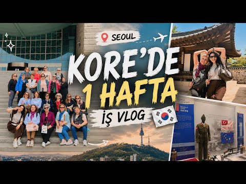 Kore’de Rehberlik Yaparken Bir Haftam 🇰🇷 | Hiçbir Şey Göründüğü Gibi Değil 😱