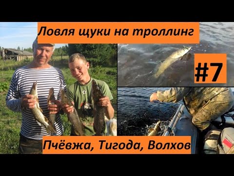 рыбалка на тигоде в киришах рыбалка на тигоде в киришах