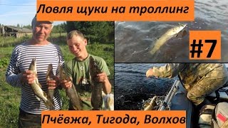 Ловля щуки Волхов, Тигода, Пчёвжа на дорожку (#7)