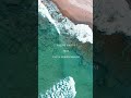 Inútil Paisagem|feat. Paula Morelenbaum