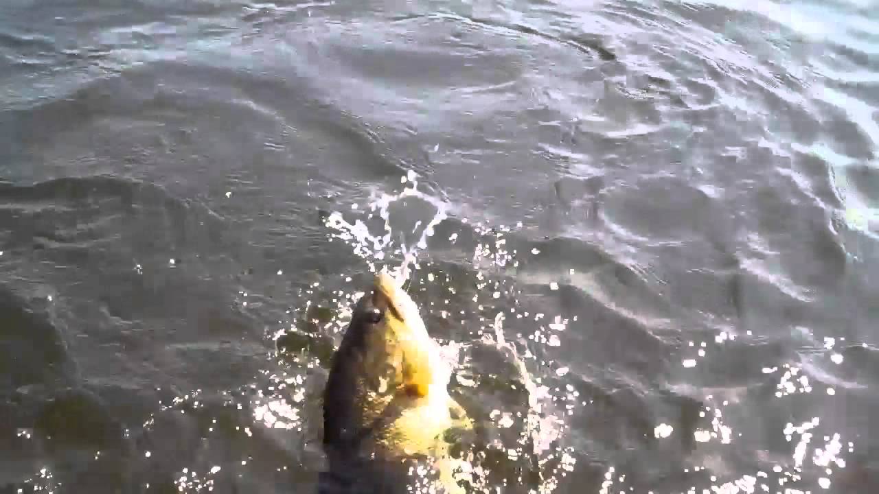 Fishing Panther Pond 2012 YouTube