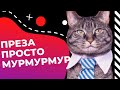 Как сделать презентацию в Canva // Смотри простой и подробный гайд