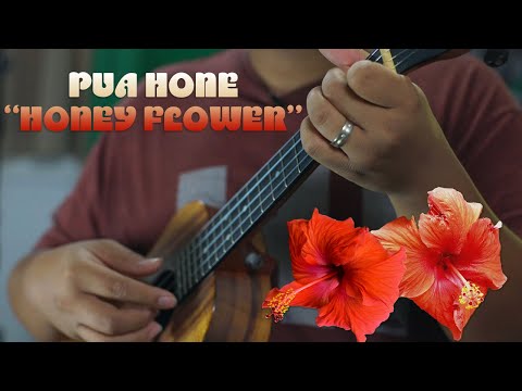 Pua Hone UU+ Solos Preview