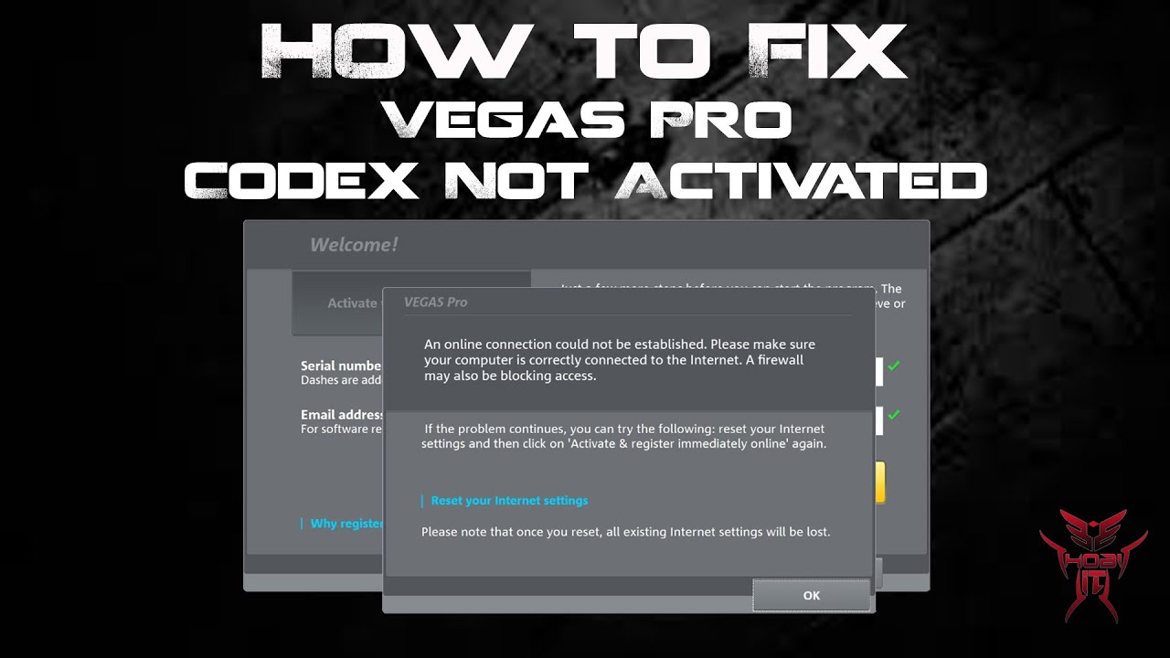 Vegas pro an online connection could not be established activation