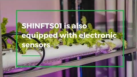 WAZIHUB INNOVATION COMPETITION WINNER| Agritechs Smart Hydroponics (soilless farming)