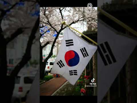 حلمي انا والبست 