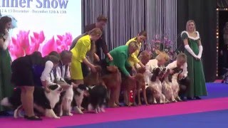 Breedergroup - Amsterdam Winner Show 2015 by EukanubaEurope 1,144 views 8 years ago 10 minutes, 39 seconds