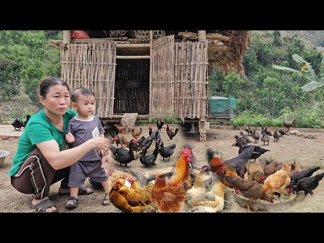 A 17-year-old single mother bought the first flock of ducks for the farm - ly tu tay class=