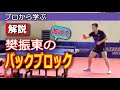 樊振東から学ぶバックハンドブロック Fan Zhendong training