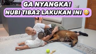 TEGANG BGT! PERTEMUAN NUBI DAN BABY ARIANA 😳