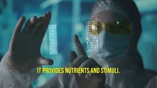 First-Ever Computer Runs on Human Brain Cells