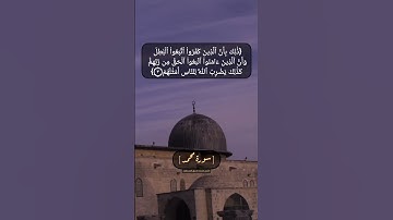 سورة محمد الآية ١ الى ٣ بصوت الشيخ محمد صديق المنشاوي