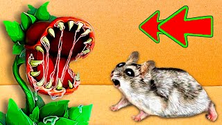 🐹 ESCAPE the Hamster Maze of DOOM!😱