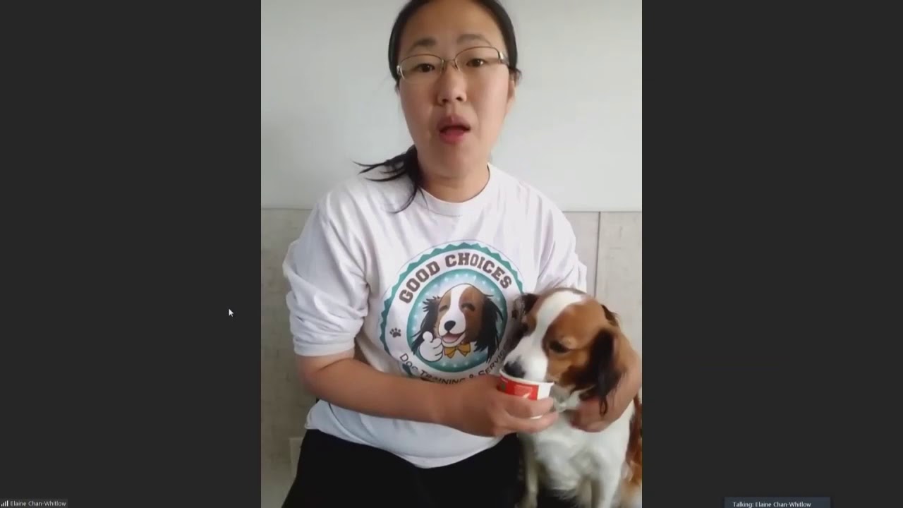 Owner of Good Choice Dog Training Discusses the Increase of Pet Scams