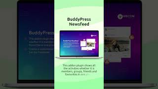 BuddyPress Newsfeed: Customize your BuddyPress & BuddyBoss newsfeed for a unique profile experience