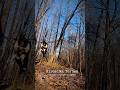 любите лес? #квадробика #dance #териан #therian #wildcraft #furry #таро #cat