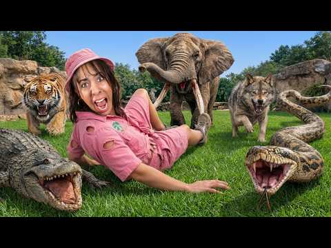 My backyard turned into a Zoo!
