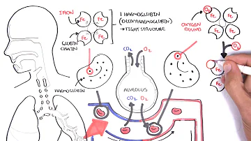 Jaké jsou kyslíkové láhve na transportním vozíku?