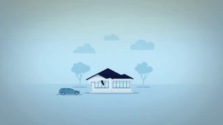 Amp Renovation 2014 Animation