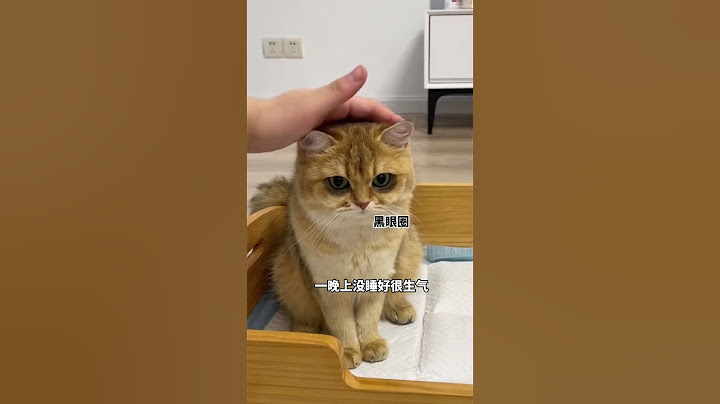 【牛奶是只猫】原来小猫咪熬夜也会有熊猫眼！结尾是我没想到的…哈哈哈真是亲妈呀