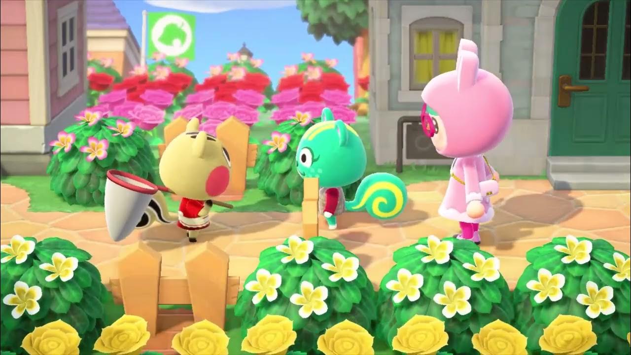Cally & Nibbles【Animal Crossing New Horizons】 YouTube