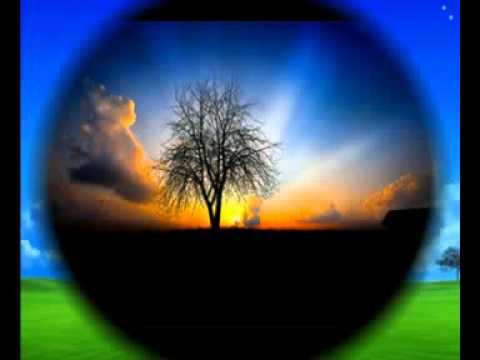 Desert Moon — Desert Moon - Galbi [Kosmonova remix]