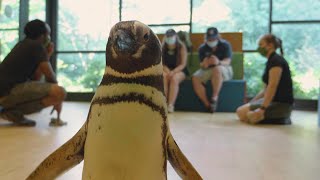 We’re a Different Kind of Animal | Bronx Zoo