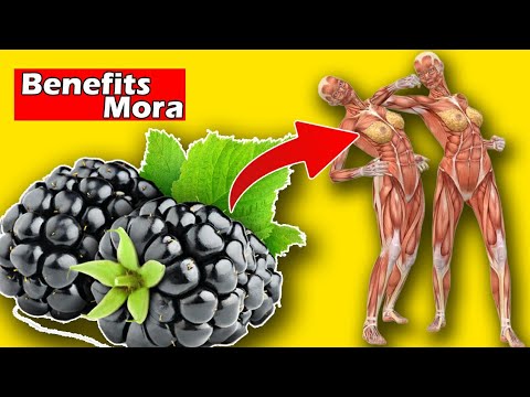 ¿Qué sucede cuando comes moras a diario?
