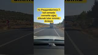 Hz Peygamberimiz 7 Kat Semada 🤲🤲 Resimi