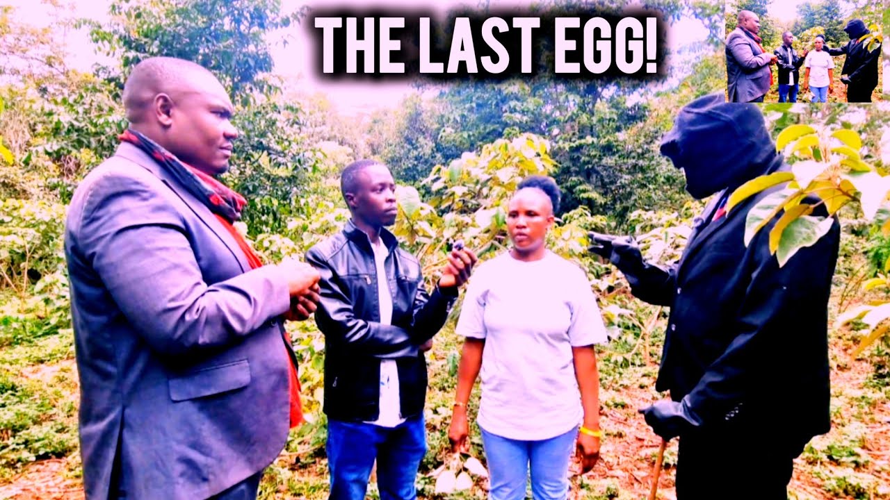 Daktari Reveals the Plot: 3 Eggs Meant to End Mhesh… One Egg Remaining as Punishment Begins 😱