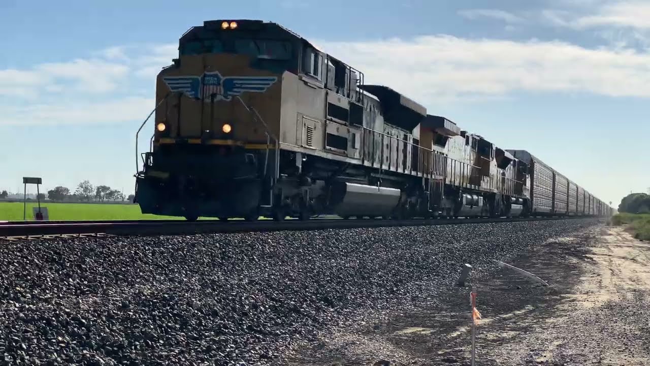 Fouled/Sick Train Horn Compilation