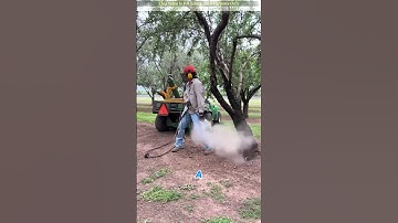 How Pest Control Experts Handle Moles!