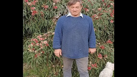 Angus Stewart   Feeding native plants
