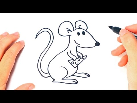 Video: Cómo jugar con caracoles mascota: 14 pasos (con imágenes)