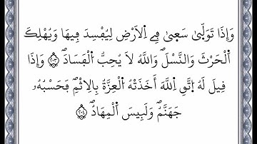 سورة البقرة - الآية 203 إلى الآية 204 - بصوت القارئ عمر القزابري - رواية ورش عن نافع -اعتمدت خط ورش