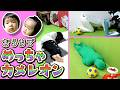 ◆【かくれんぼ】家の中に完全に溶け込んでみた！えいと＆みなとに見つかったら即終了！家の中でめっちゃカメレオンやってみた◆