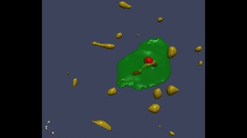 ParaView Surface Rendering From Tiff Stack and Time Series Data 4D